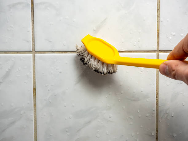 Professional Mold Removal in Kula, HI