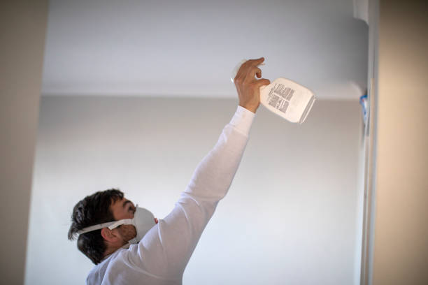 Best Mold Removal Company Near Me  in Kula, HI