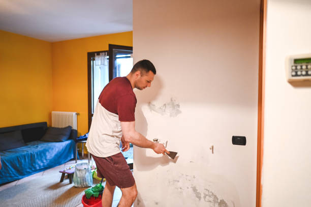 Best Residential Mold Removal  in Kula, HI